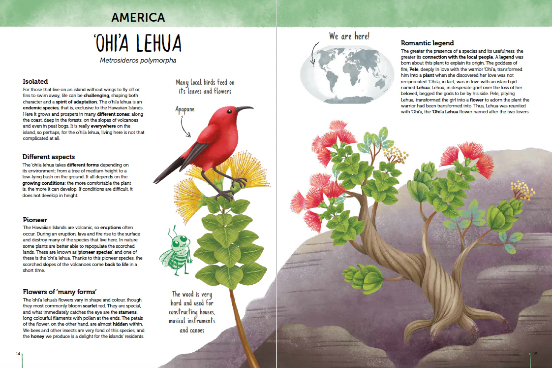 Atlas of Biodiversity - Flora of the World - Image 3
