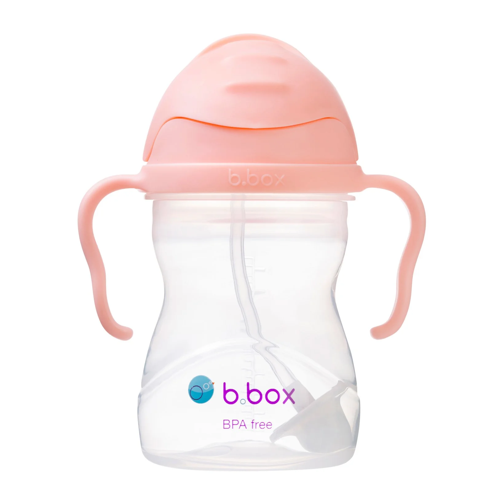 Gelato Sippy Cup - Tutti Frutti - Image 8