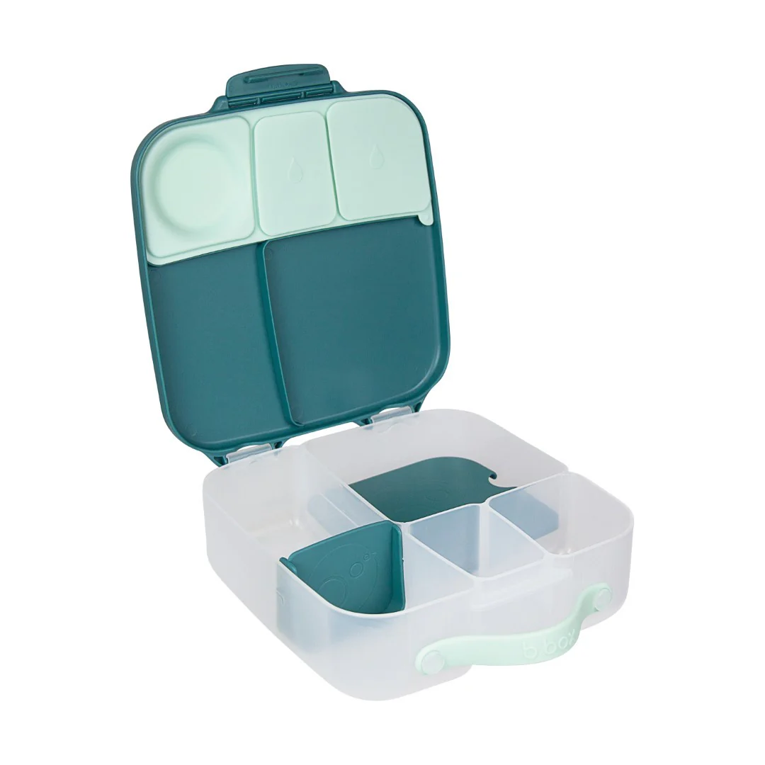 Lunchbox - Emerald Forest - Image 5