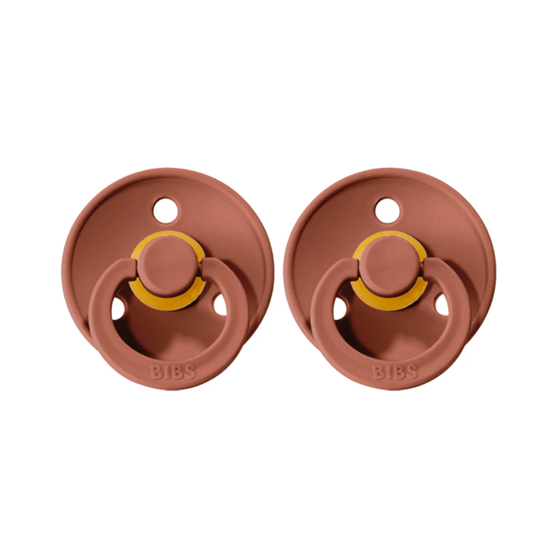 Colour Pacifier 2 Pack - Woodchuck - Image 3