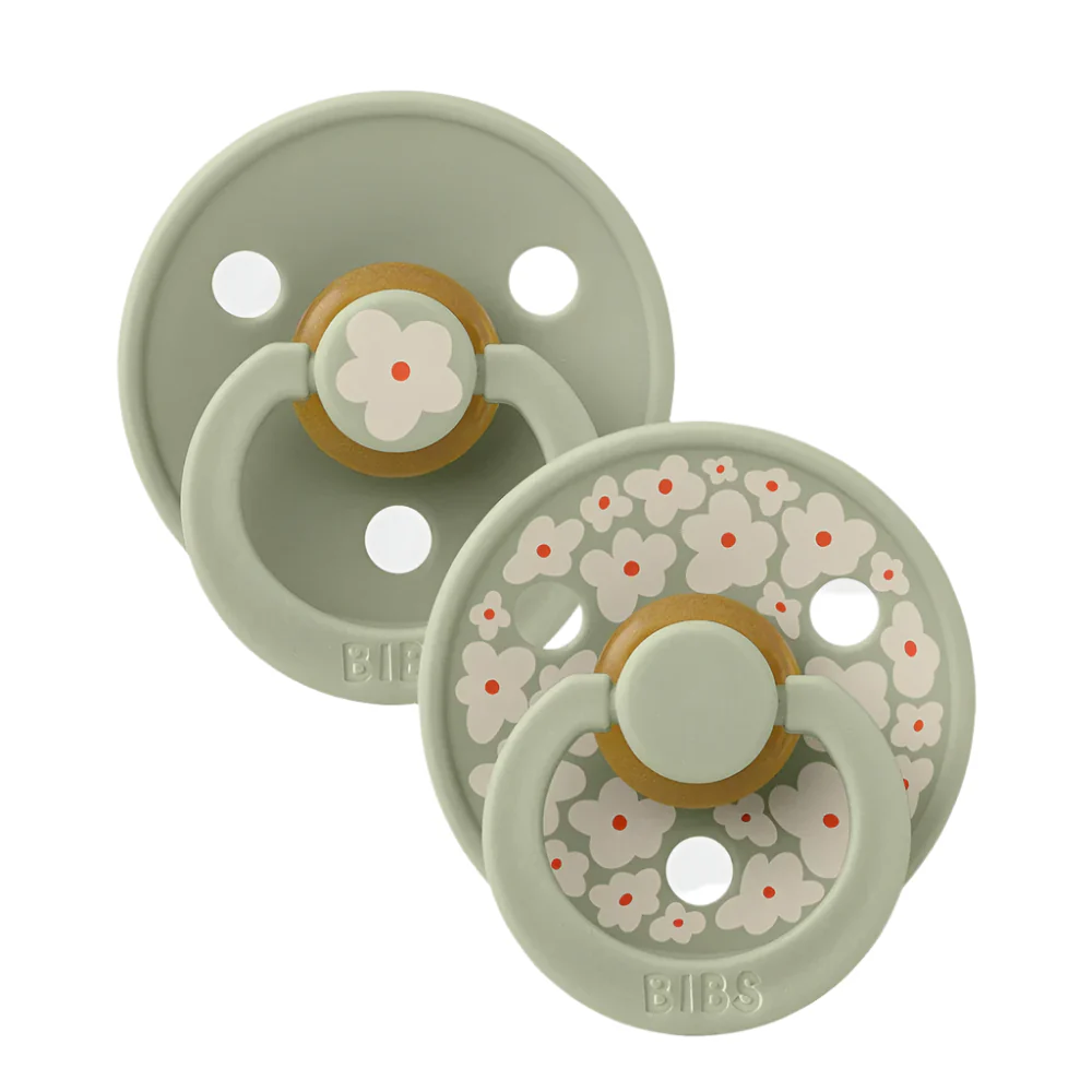 Studio Colour Pacifier 2 Pack  - Jasmine Sage Mix