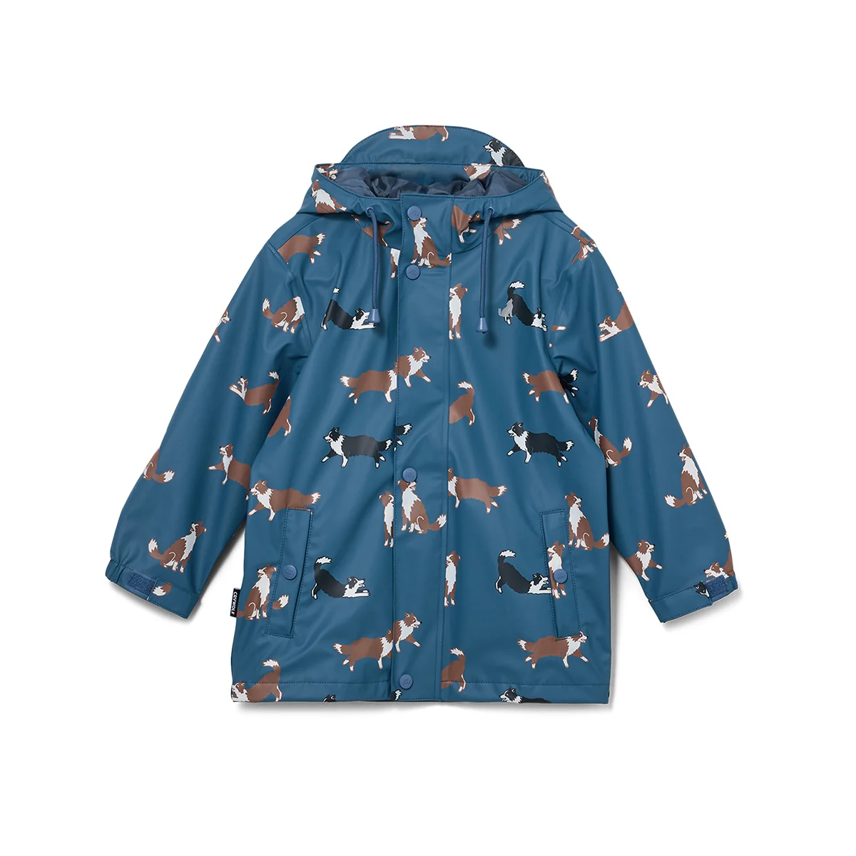 Play Jacket Collies