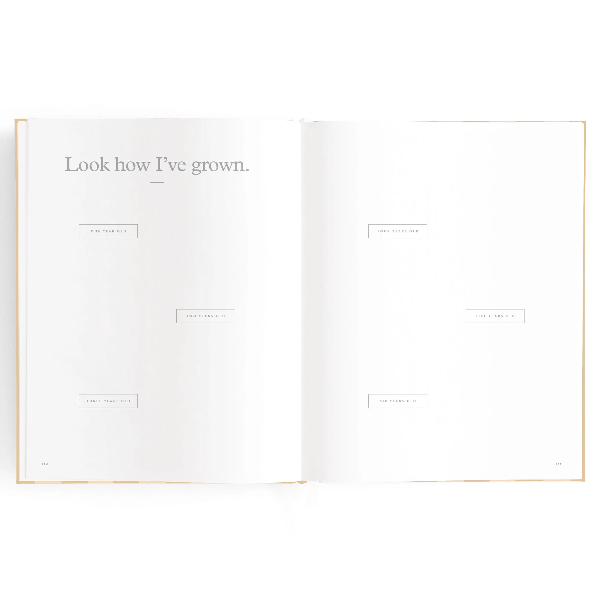 Baby Book - Coffee Stripe - Image 26