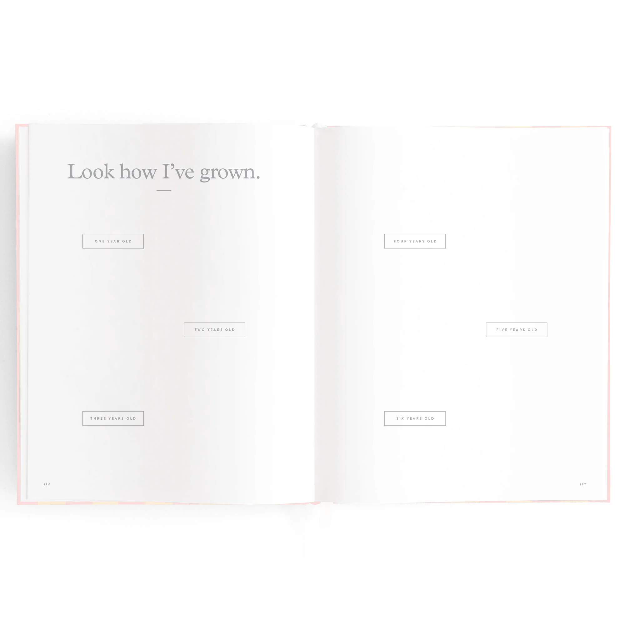 Baby Book - Petal Stripe - Image 26