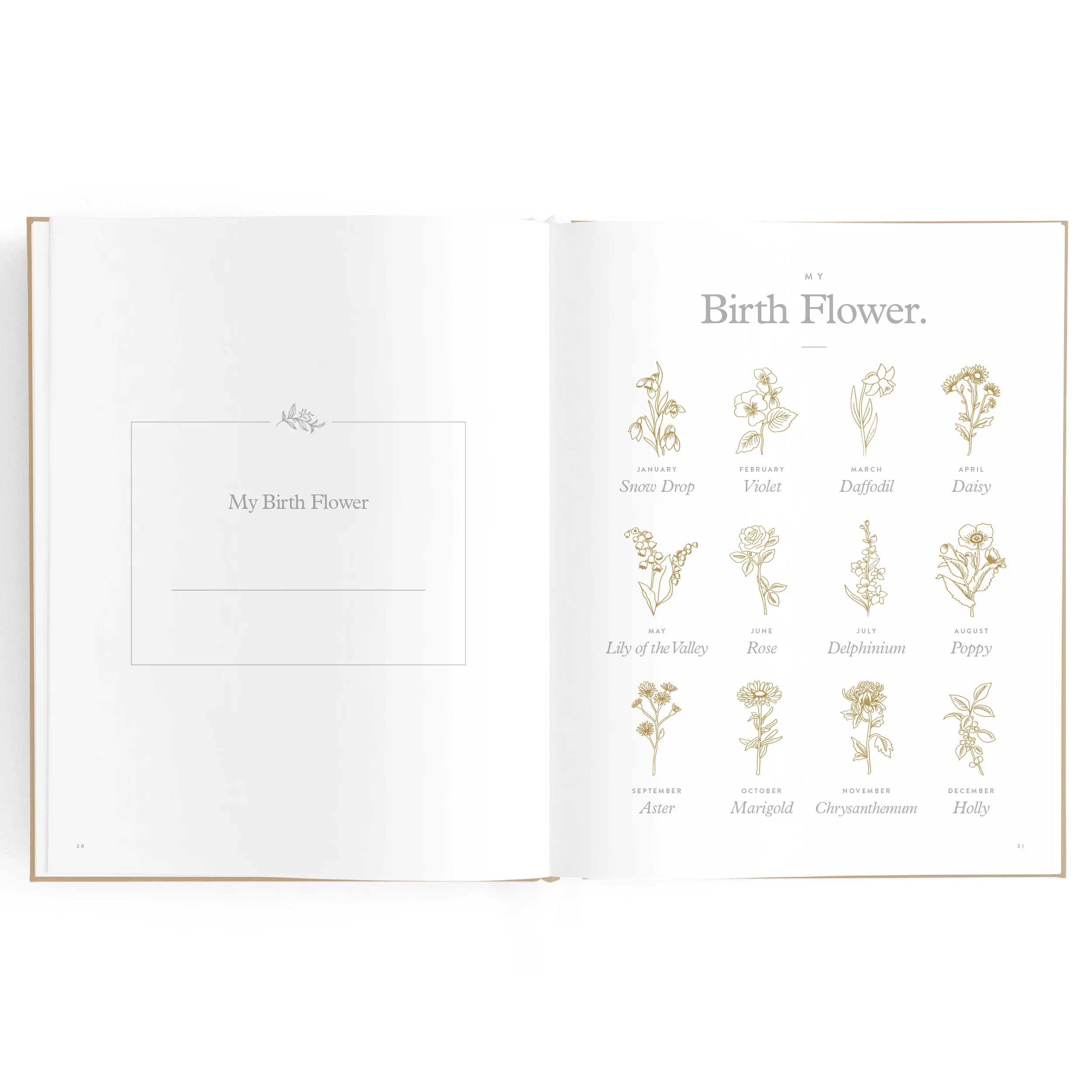 Baby Book - Biscuit - Image 13