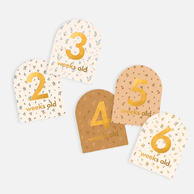Baby Milestone Cards - Broderie - Image 7