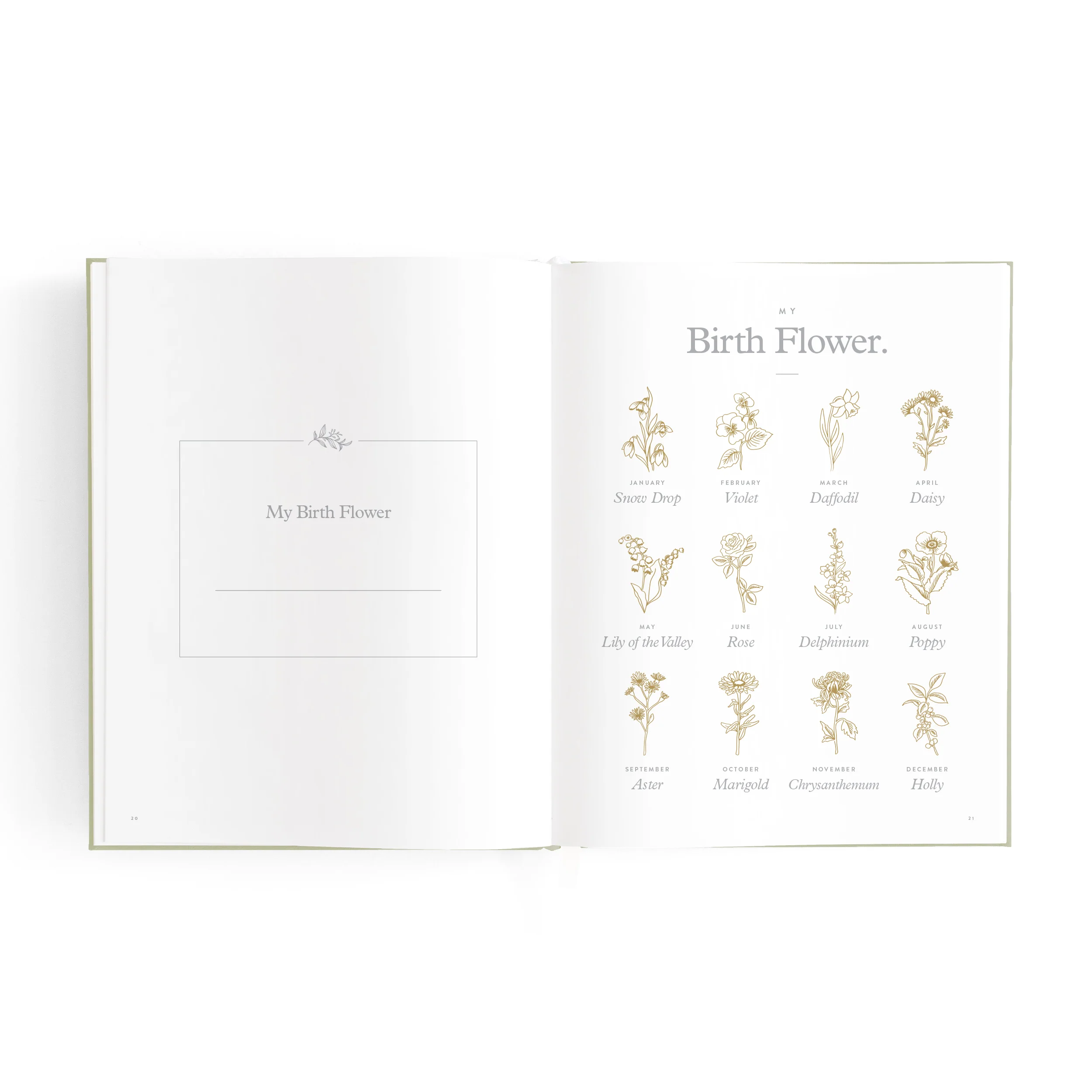 Mini Baby Book - Sage - Image 13