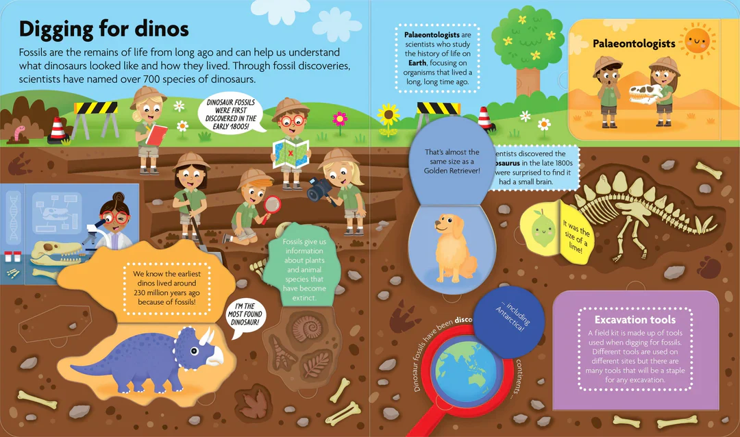 FunFacts - Lift the Flap Board Book - Discover Dinosaurs - Image 3