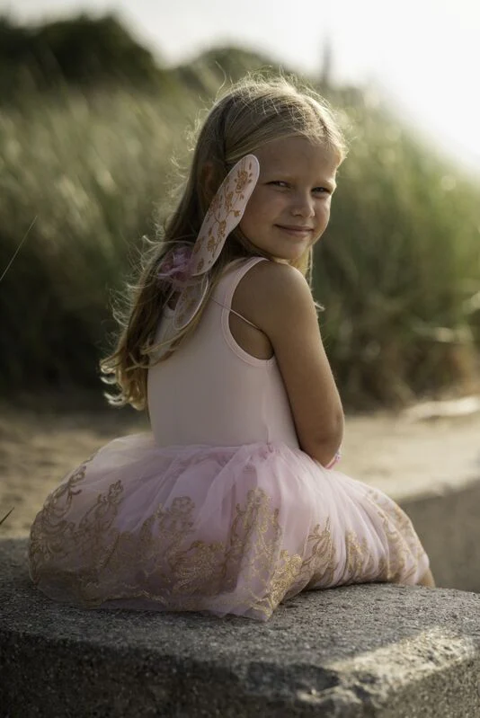 Rose Gold Tutu & Wings Set Size 4-6 - Image 2