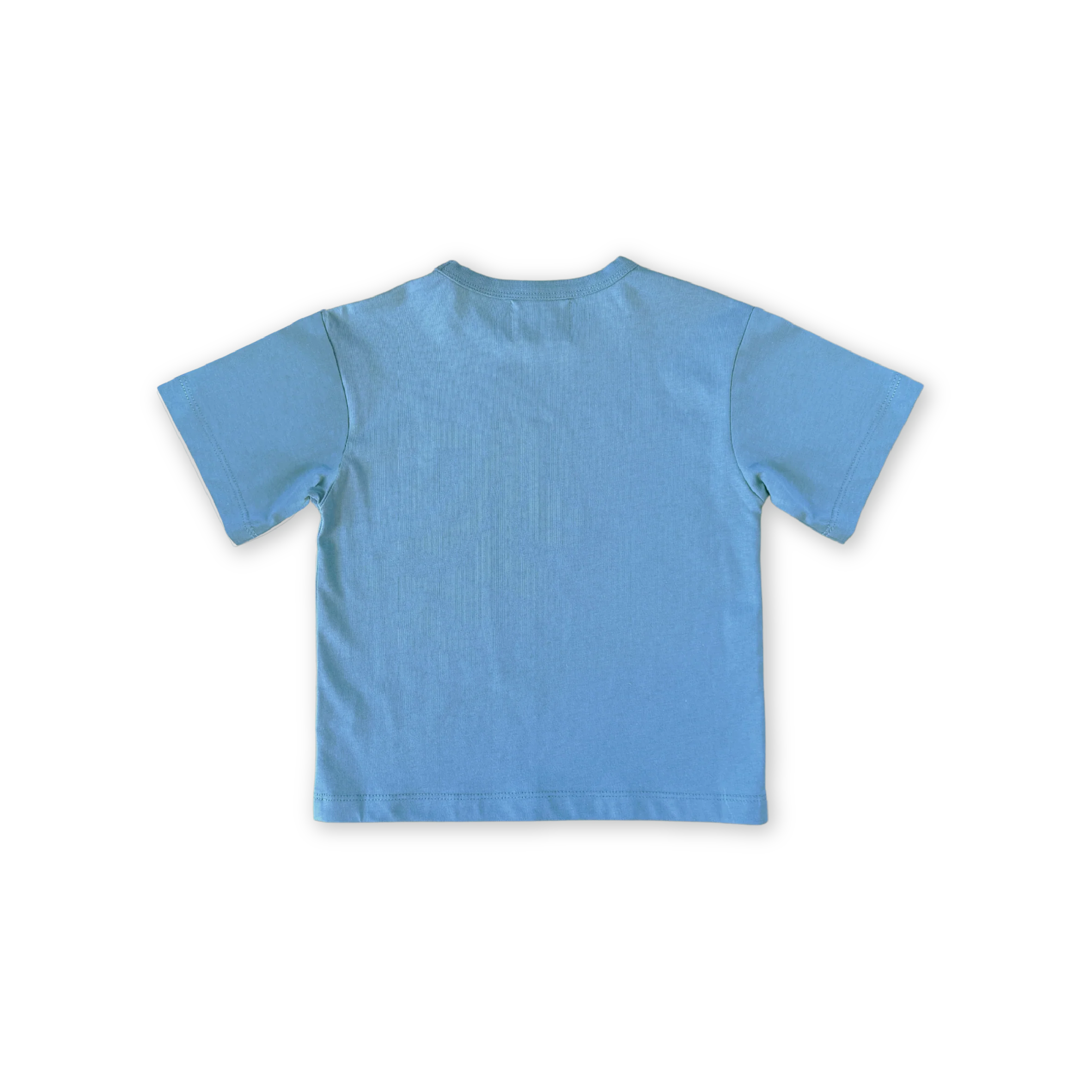 Organic Almost Grown Tee - Duck Egg - Image 6
