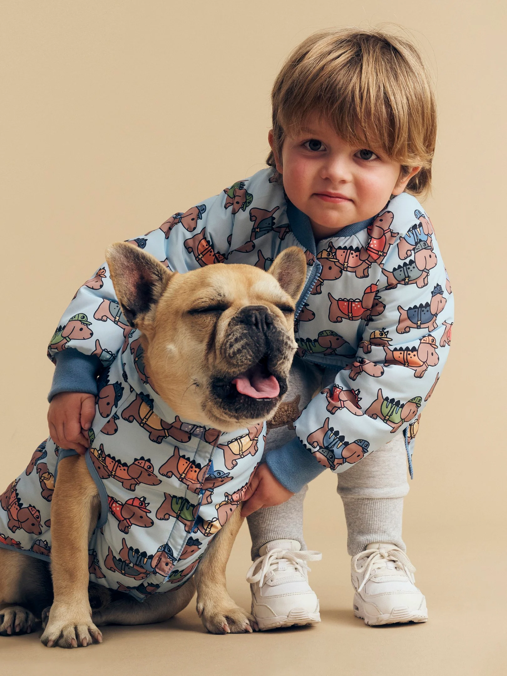 Dino Dog Reversible Dog Vest - Mountain Blue - Image 2