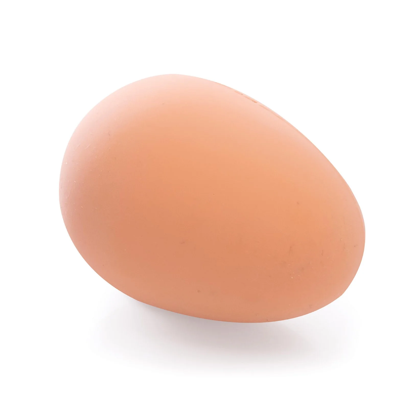 Bouncing Egg - Image 3