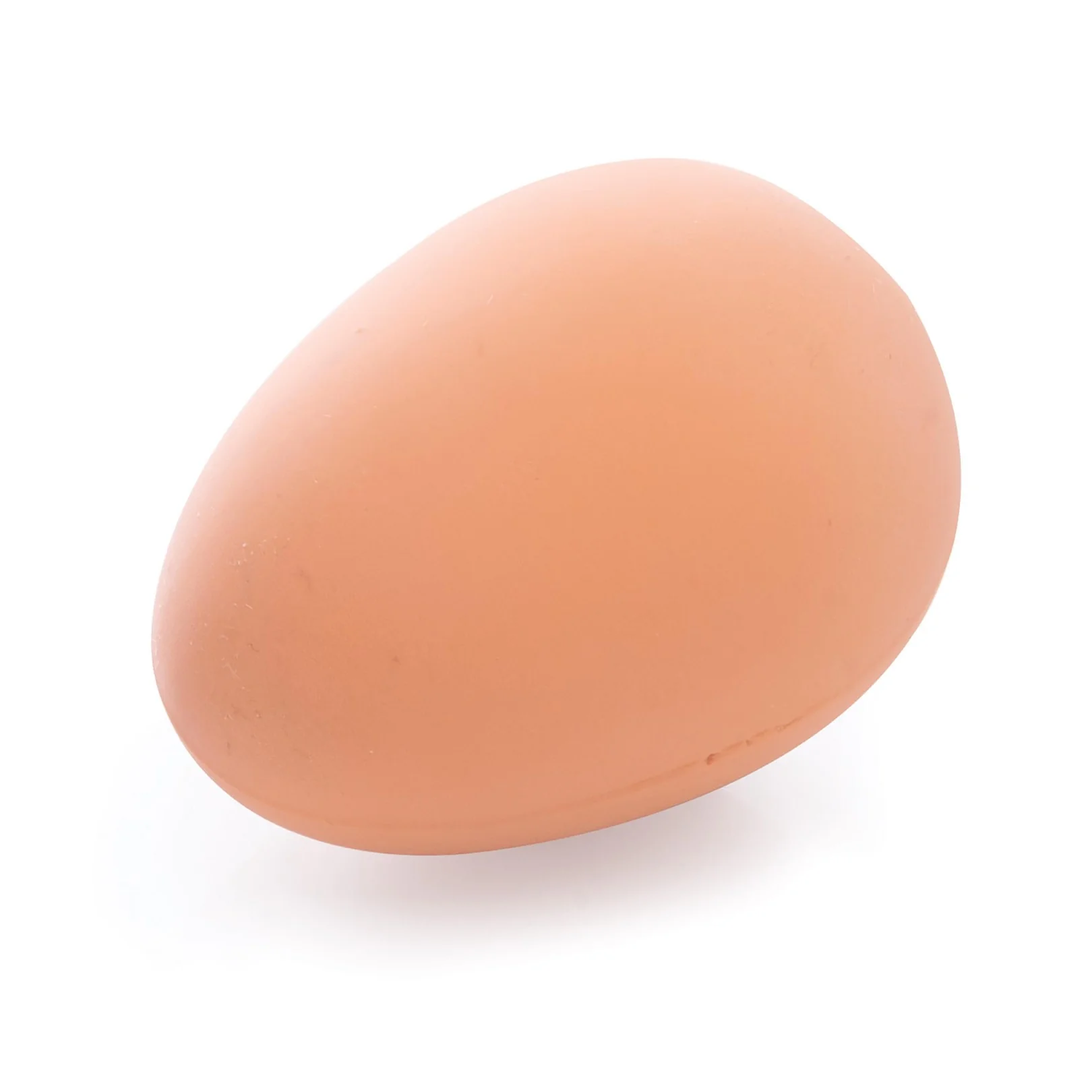 Bouncing Egg - Image 4