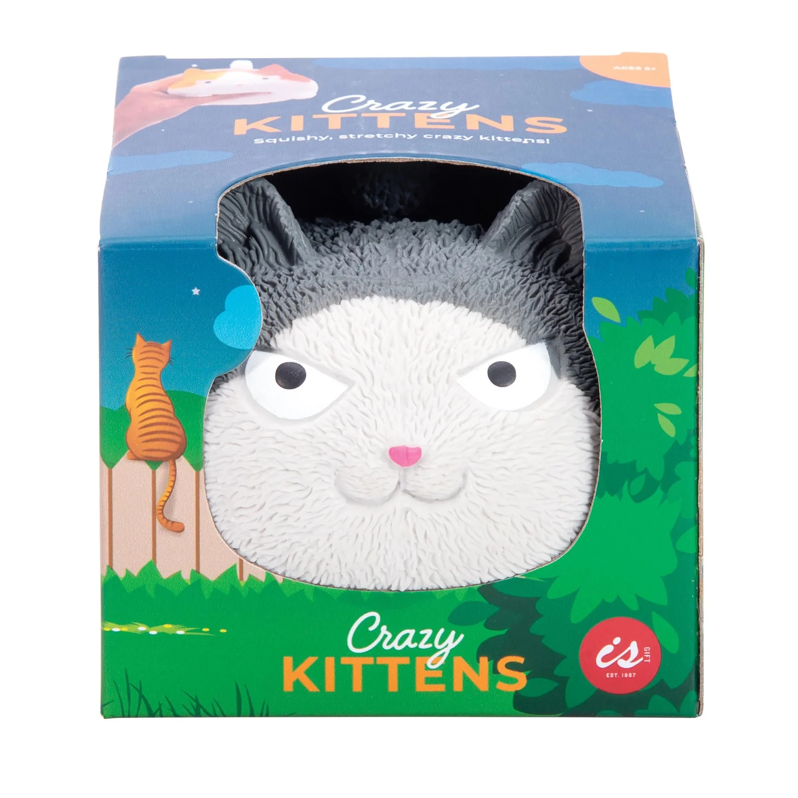 Crazy Kittens (Assorted) - Image 2