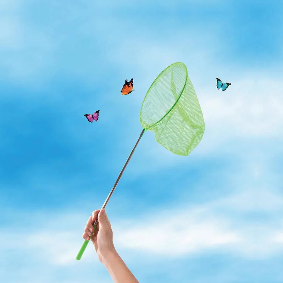Discovery Zone - Butterfly Study Set - Image 4
