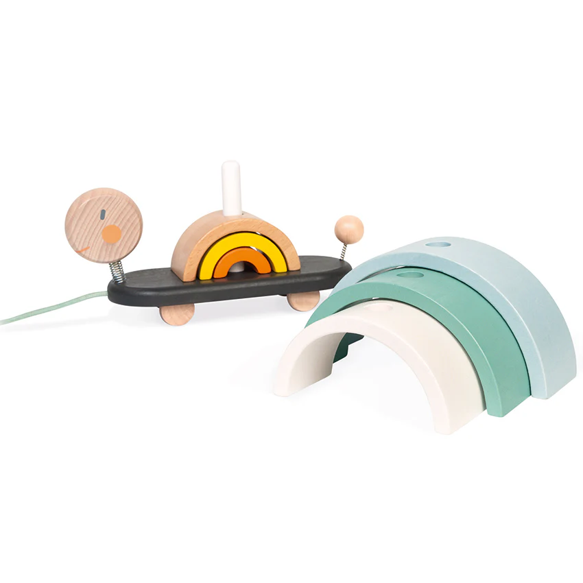 Cocoon Rainbow Turtle - Image 6
