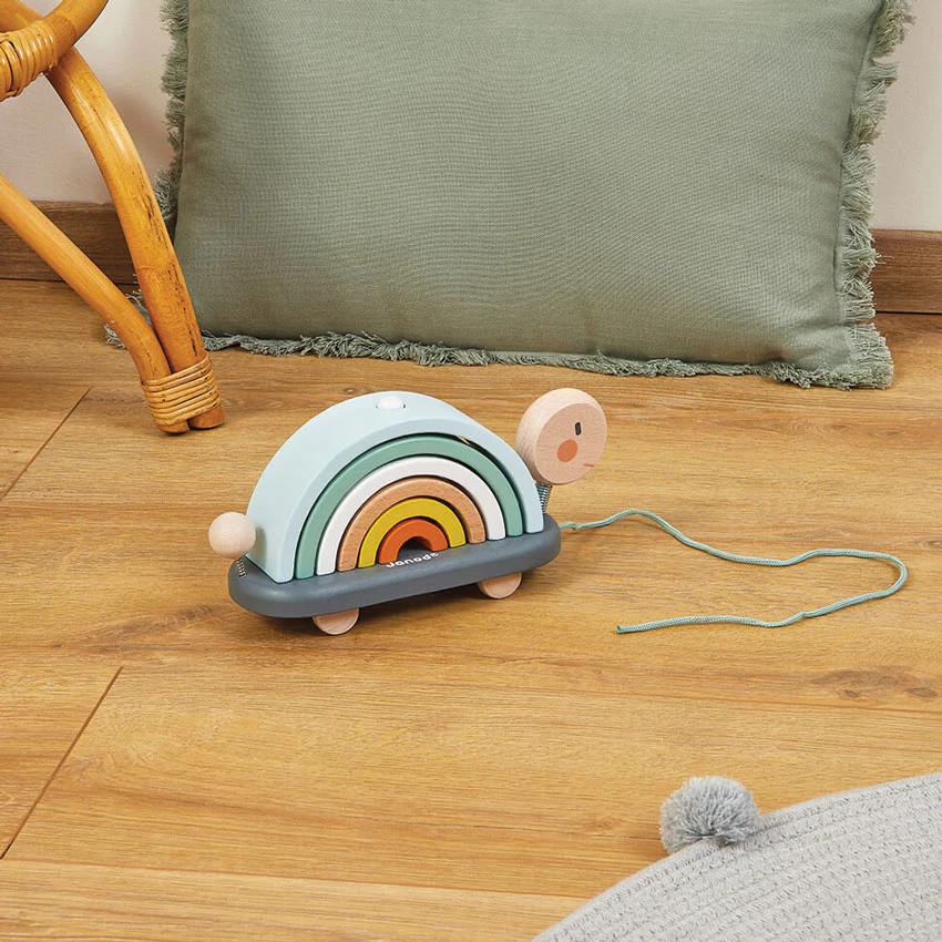 Cocoon Rainbow Turtle - Image 7