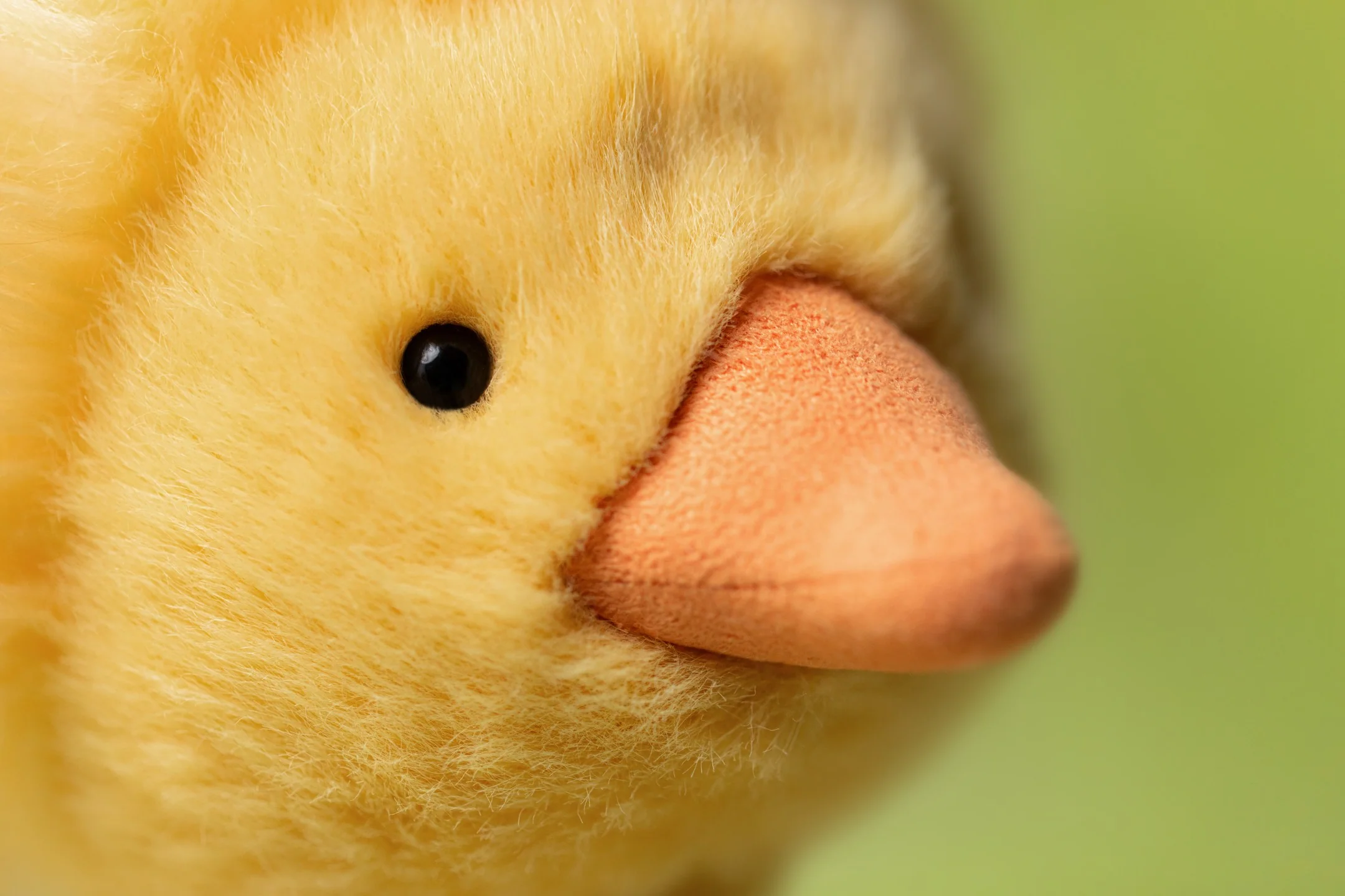Jellycat Dorit Duckling - Image 2