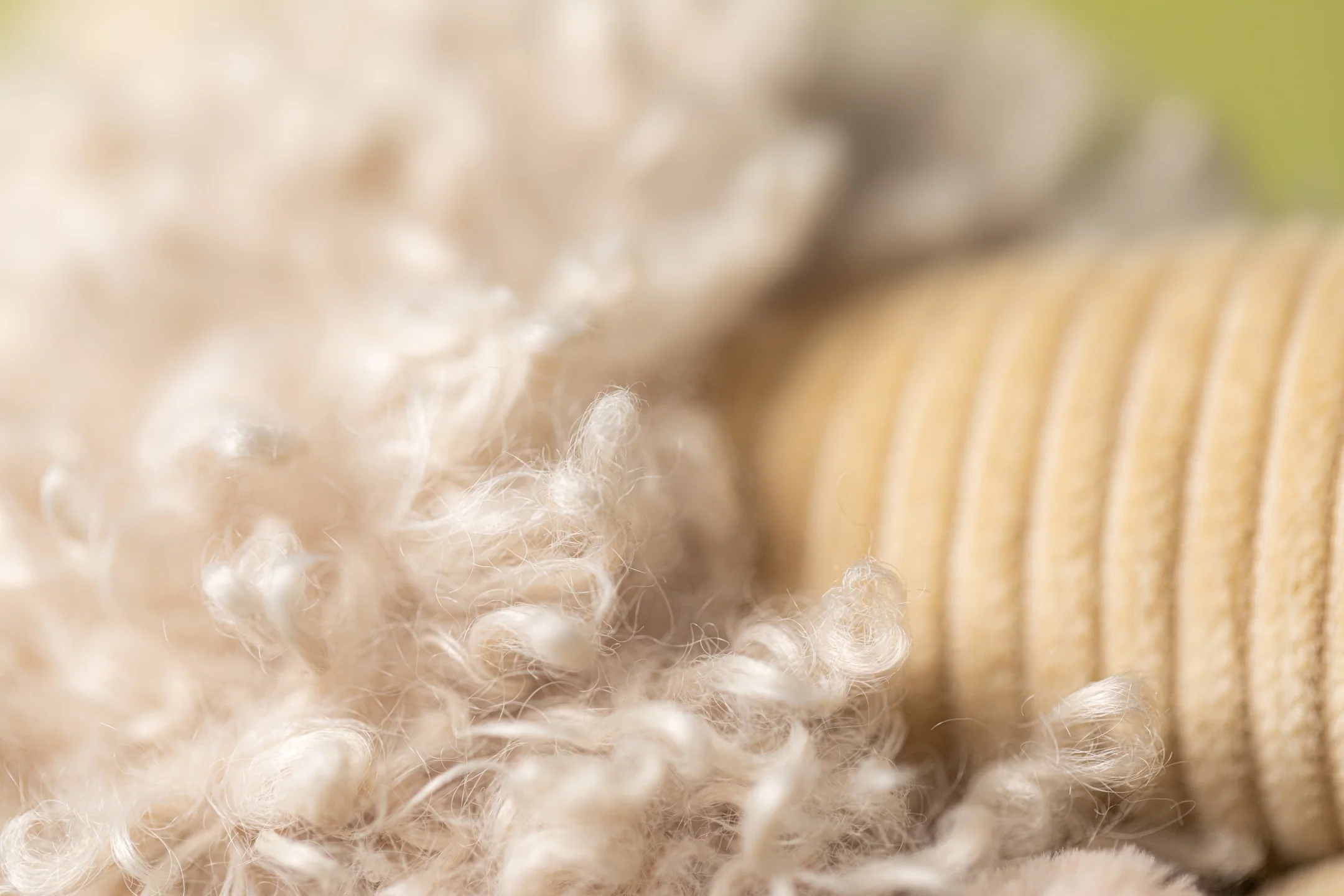 Jellycat Ramsley Sheep - Image 5