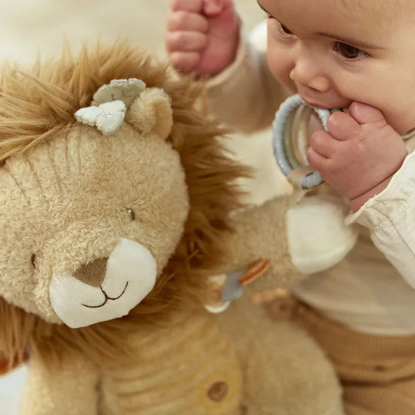Activity Cuddle Lion - Image 4