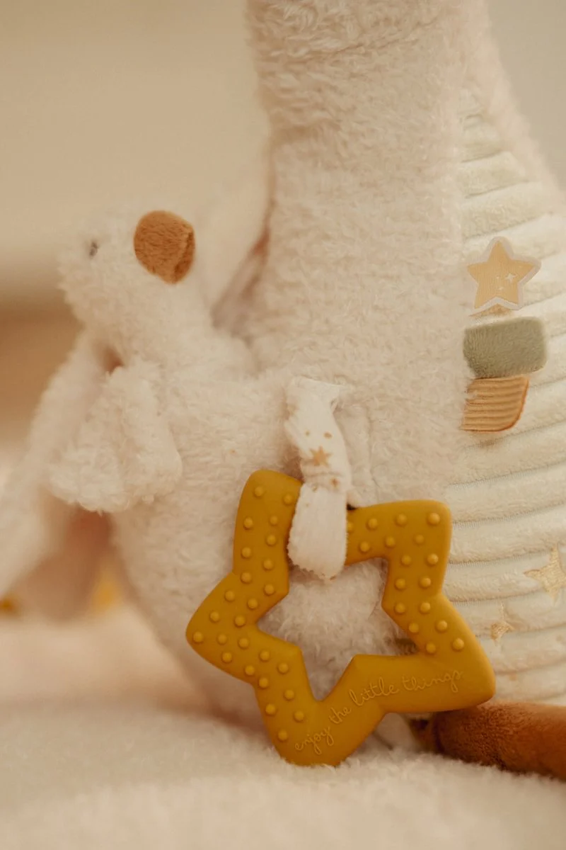 Activity Baby Goose - Image 3
