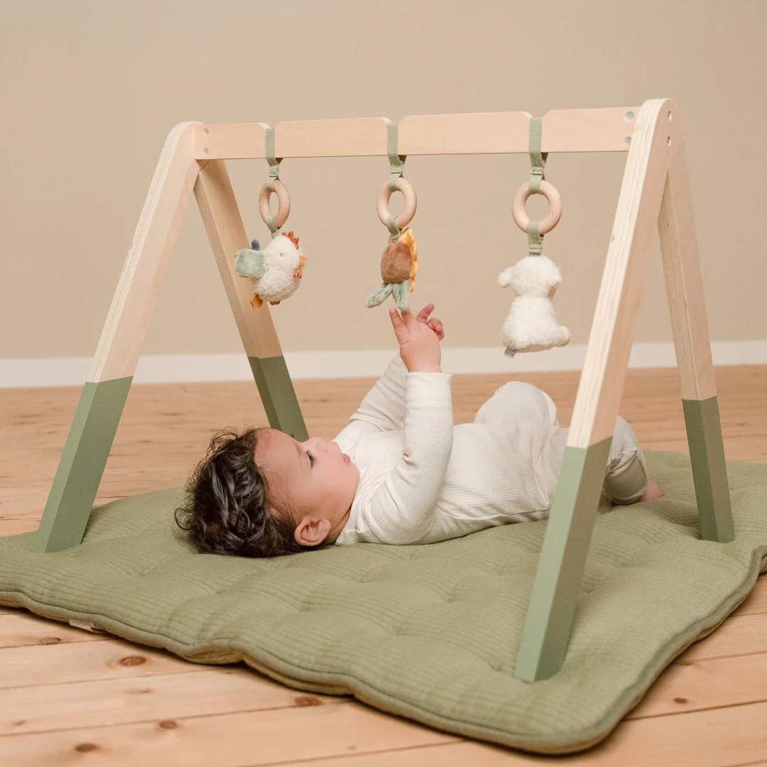 Little Farm Babygym - Image 2