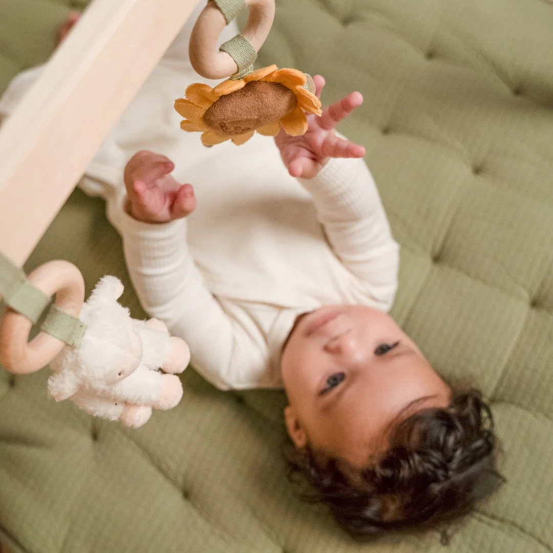 Little Farm Babygym - Image 4