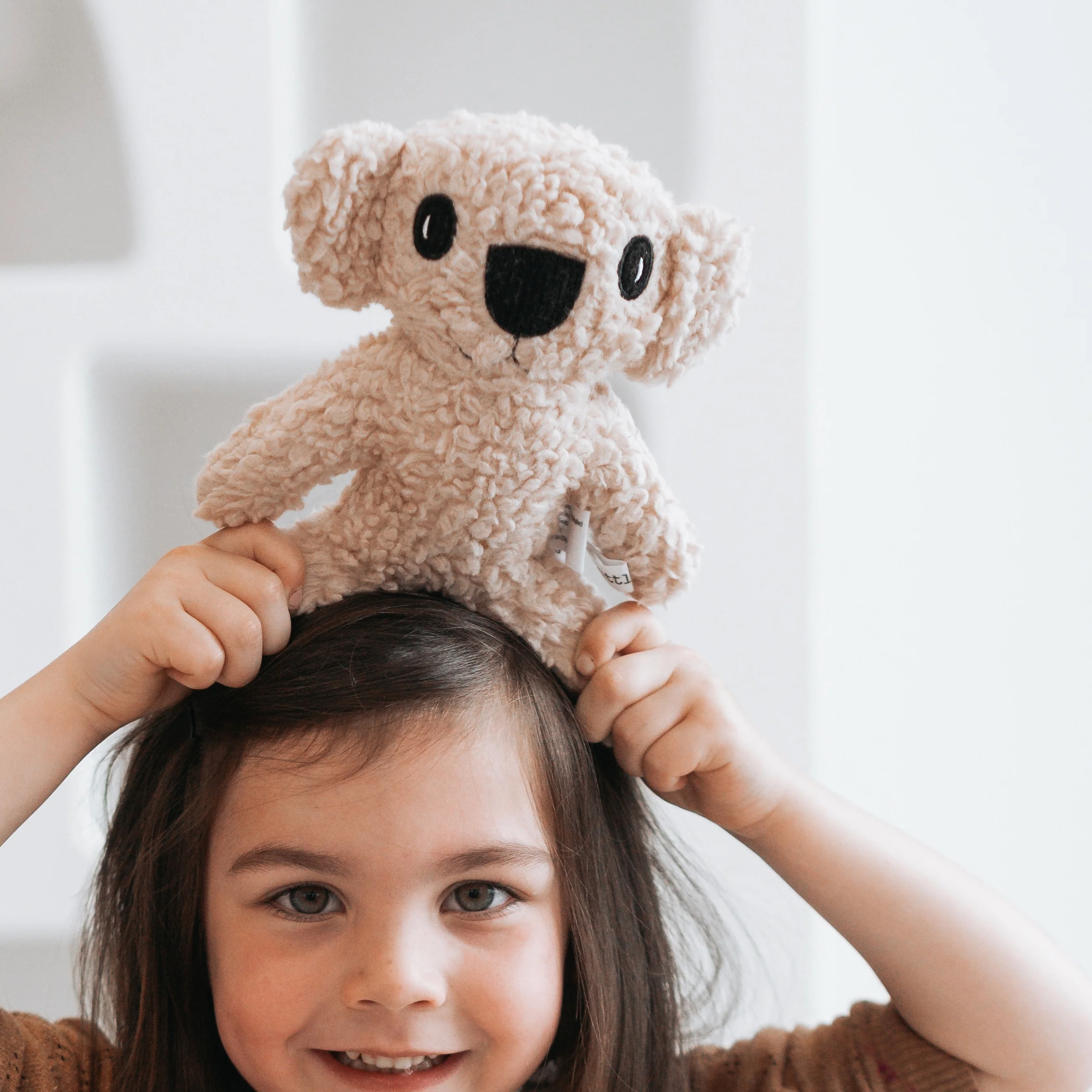 Morgan Koala - Image 2
