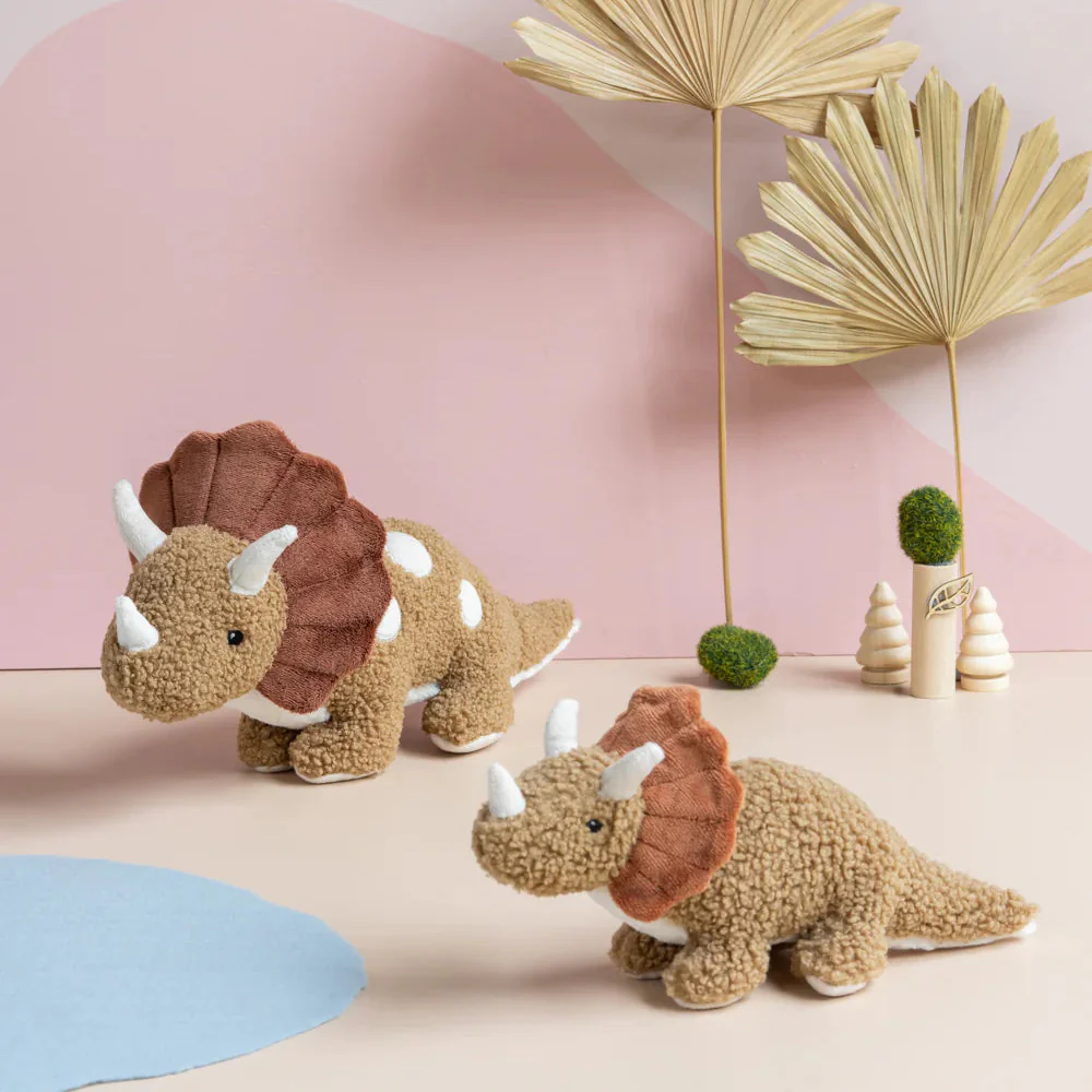 Baby Thomas the Triceratops - Image 4