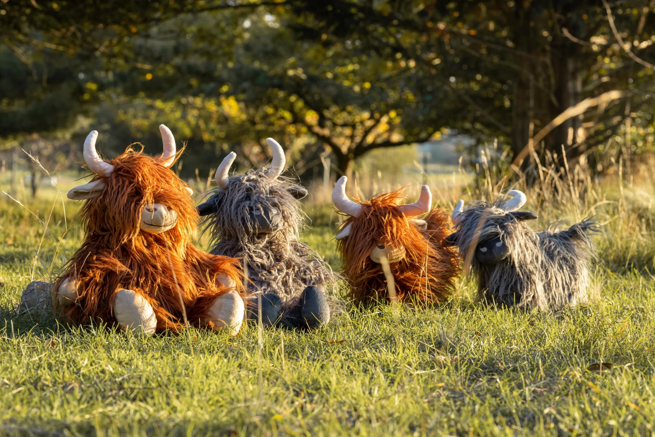 Heidi the Highland Cow Charcoal - Image 2