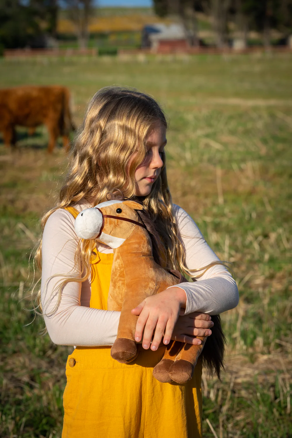 Stormy the Horse - Image 2