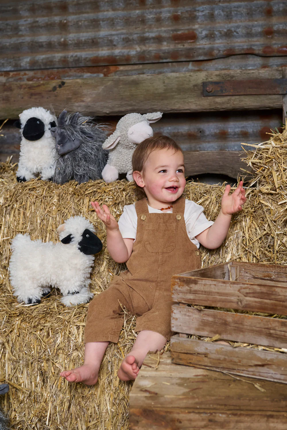 Valentina the Valais Sheep - Image 4