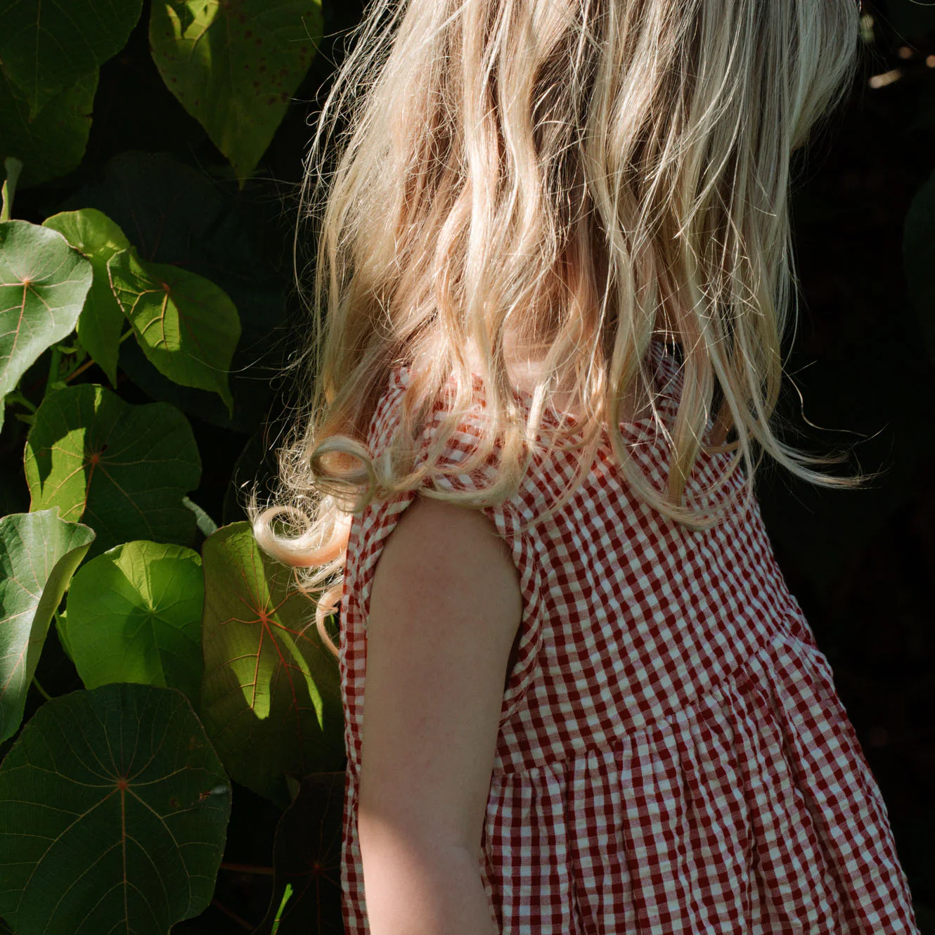 Dorothy Dress - Red Check - Image 5