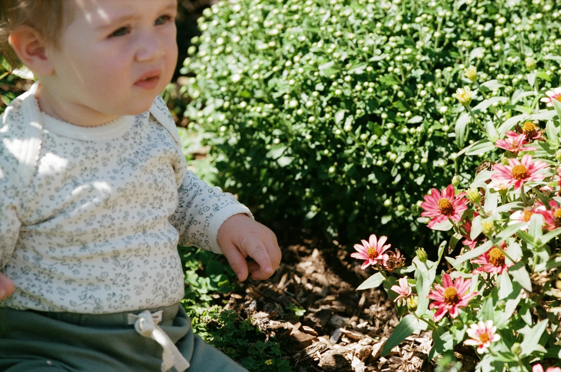Long Sleeve Bodysuit - Petite Bloomsbury Print - Image 4
