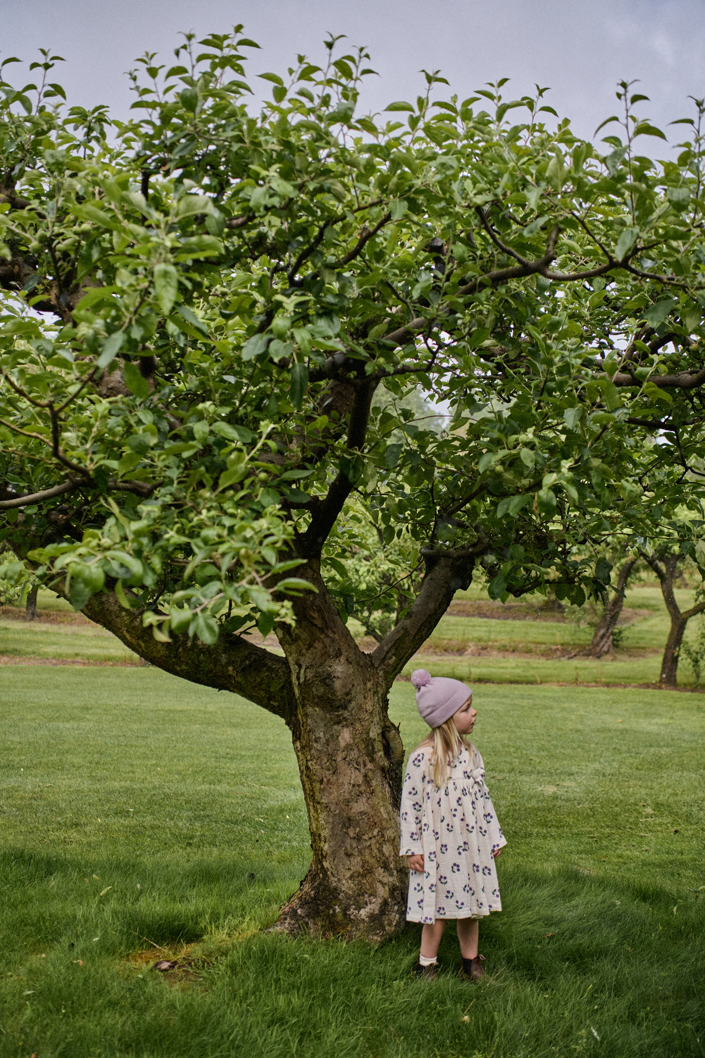 Mabel Dress - Winter Berry Natural Print - Image 4