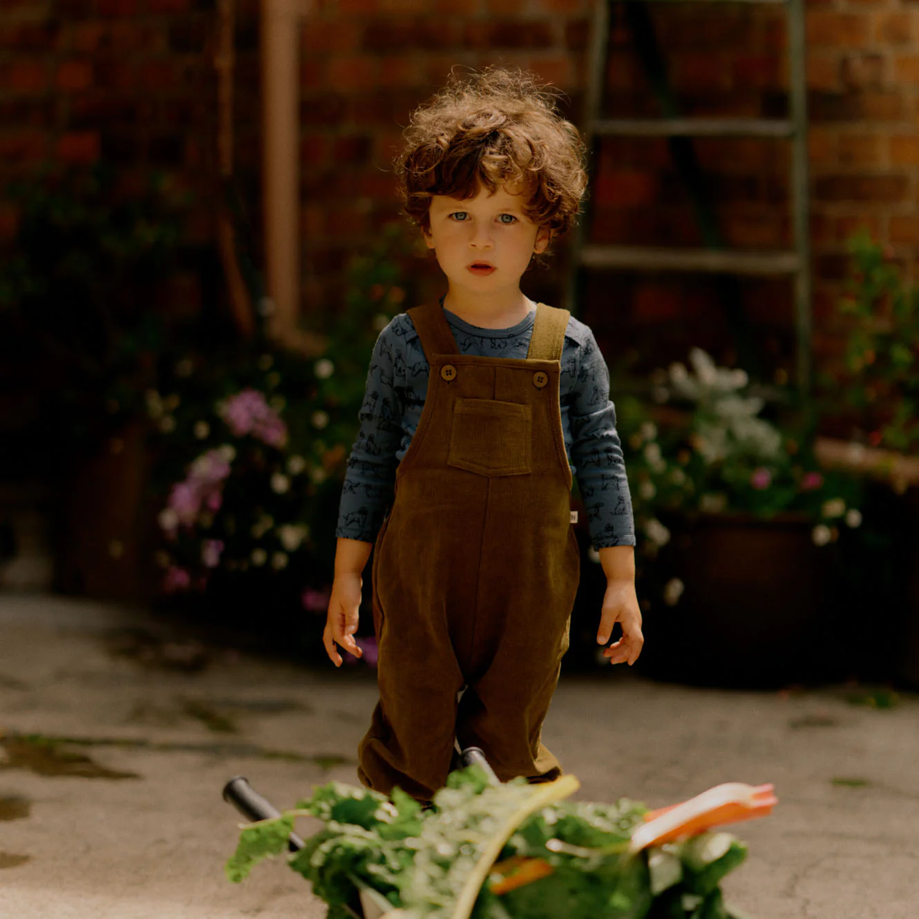 Tipper Overalls - Herb - Image 4