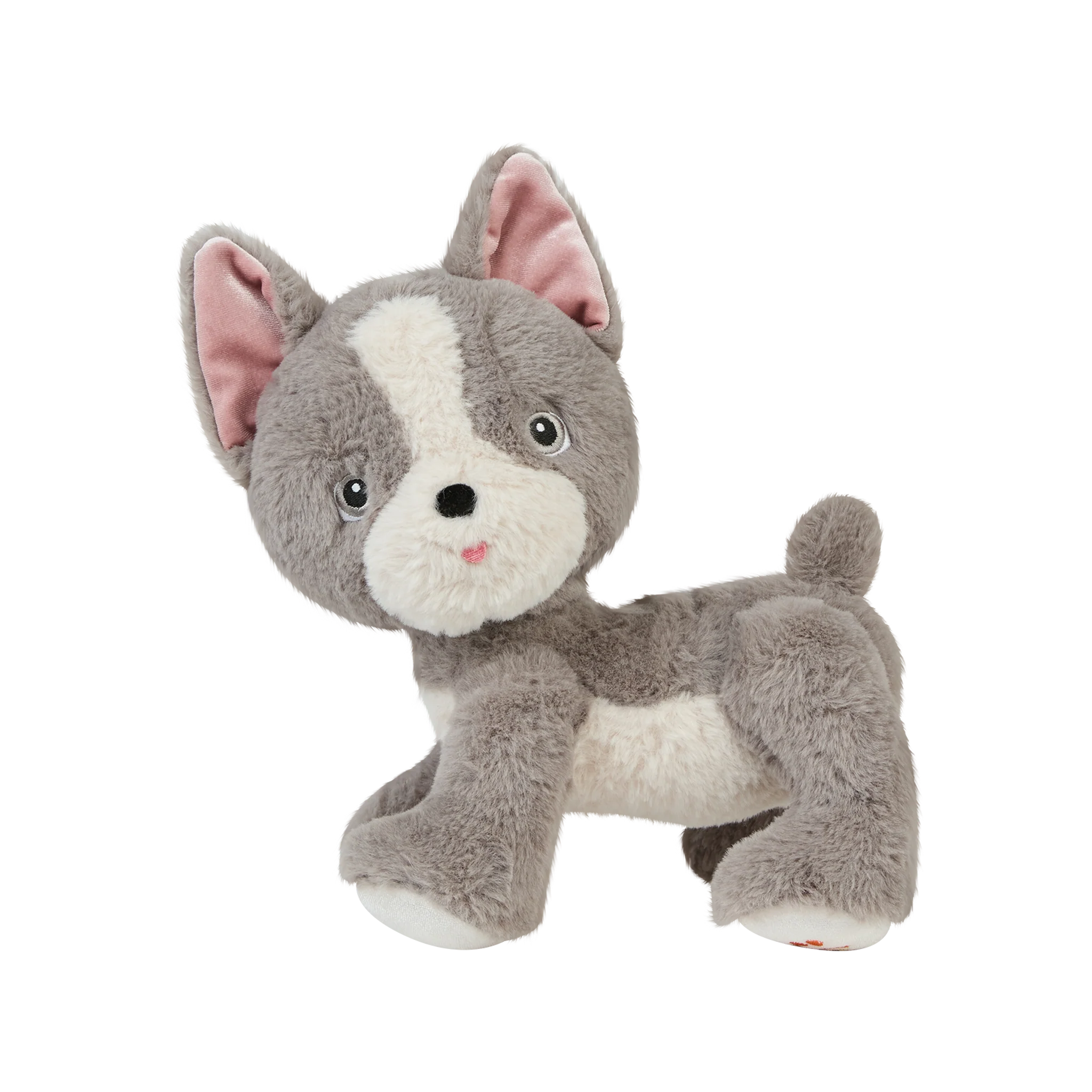 Dinkum Dog - Gizmo - Image 9