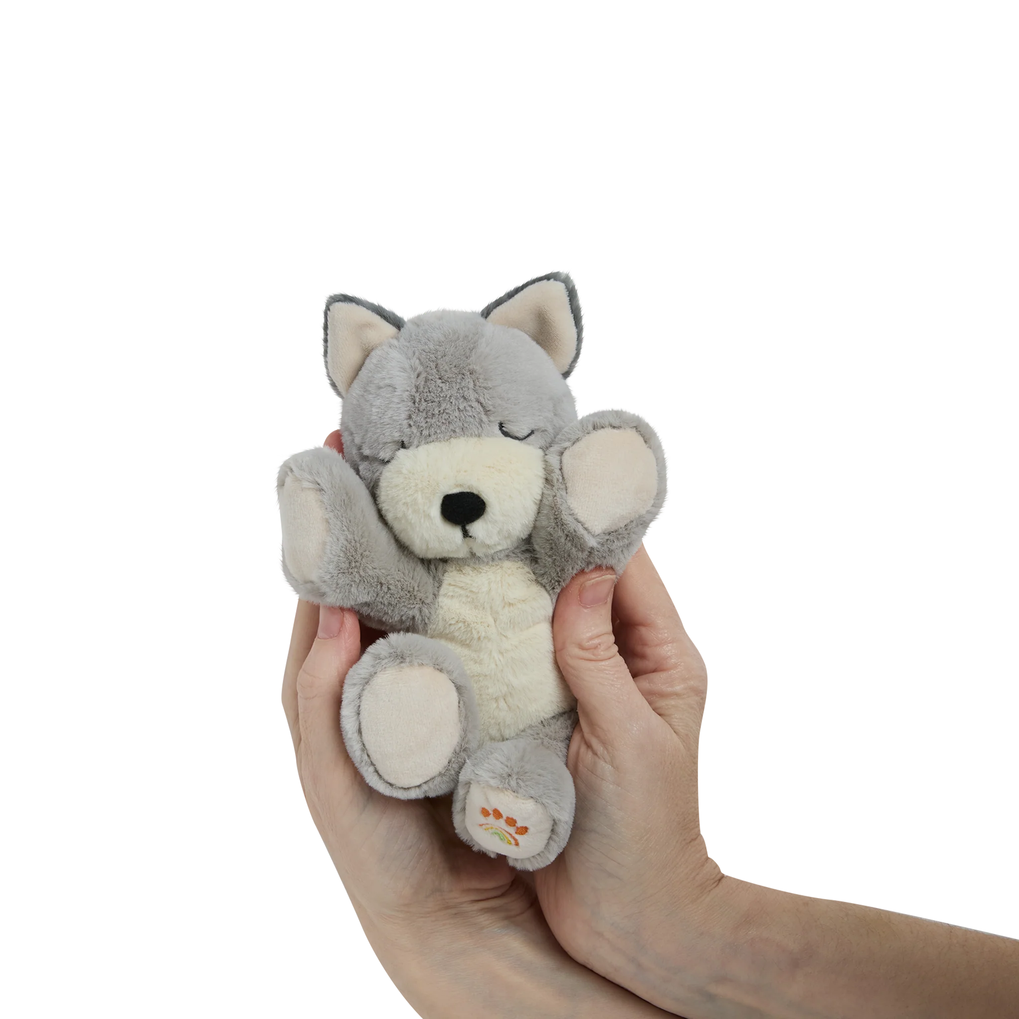 Dinkum Puppy - Banjo - Image 7