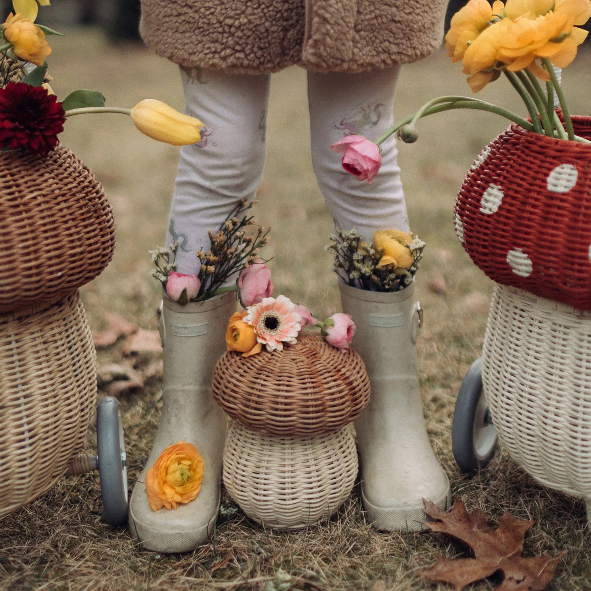 Porcini Basket - Image 5