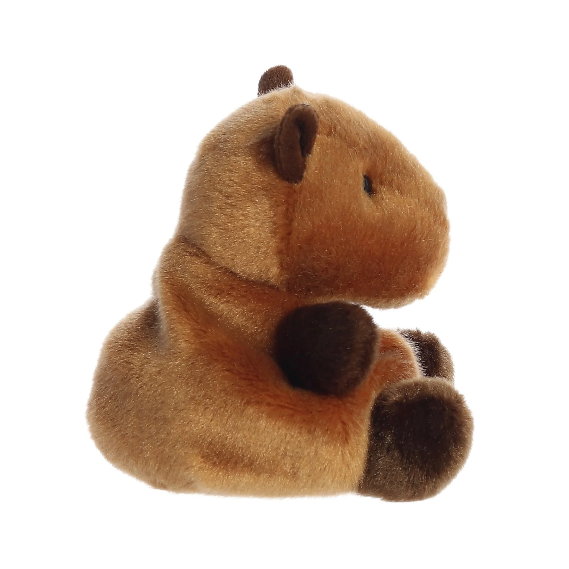 Sid Capybara - Image 3