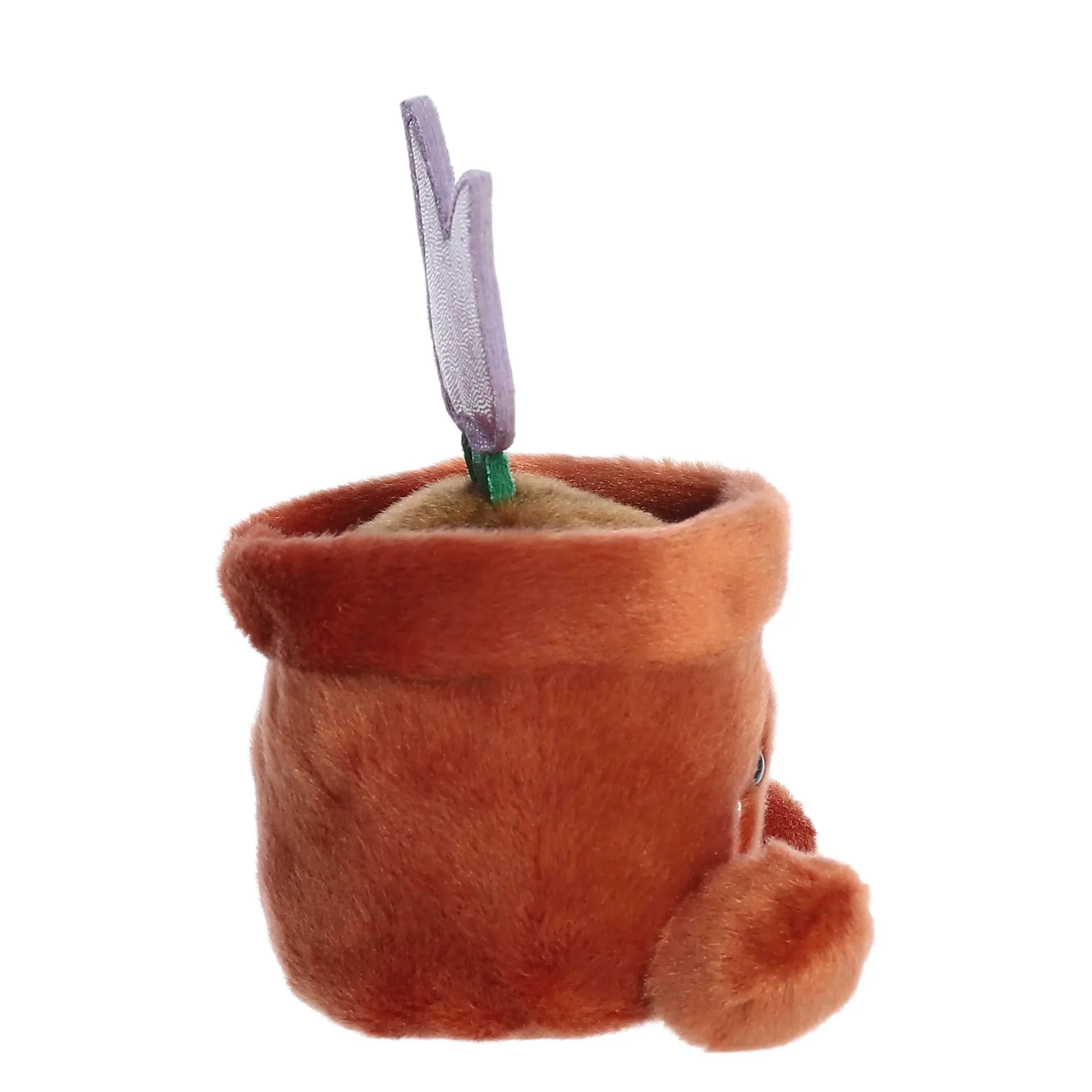 Holland Potted Tulip - Image 3