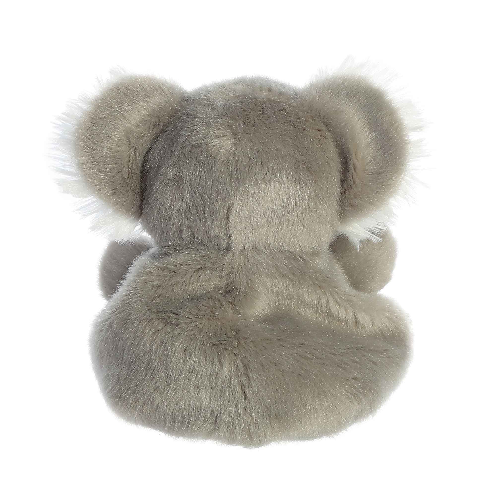 Wiggles Koala - Image 4