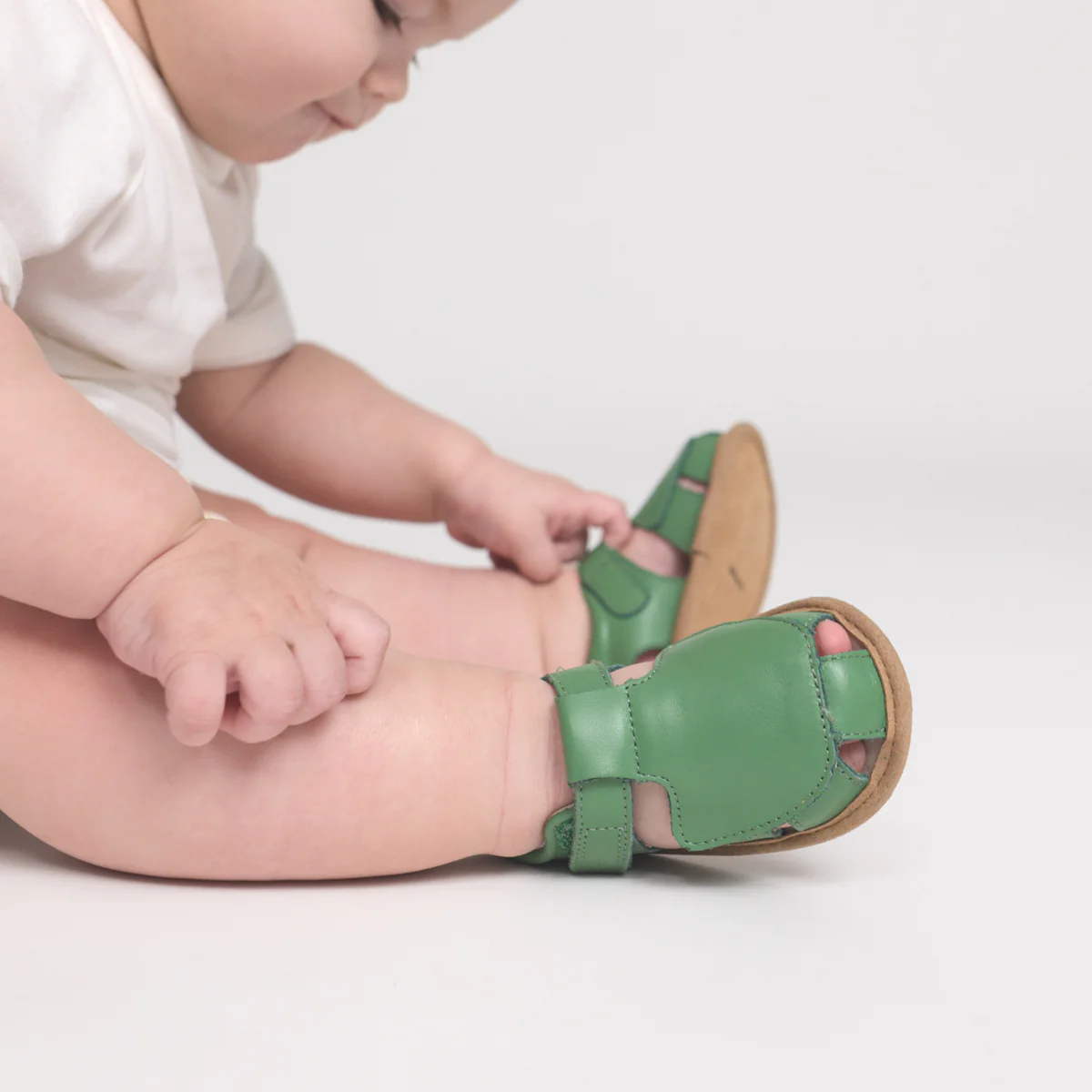 Milo Grass - Image 6
