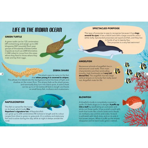 Travel Learn and Explore - The Sea 205 Piece Puzzle & Book - Image 2