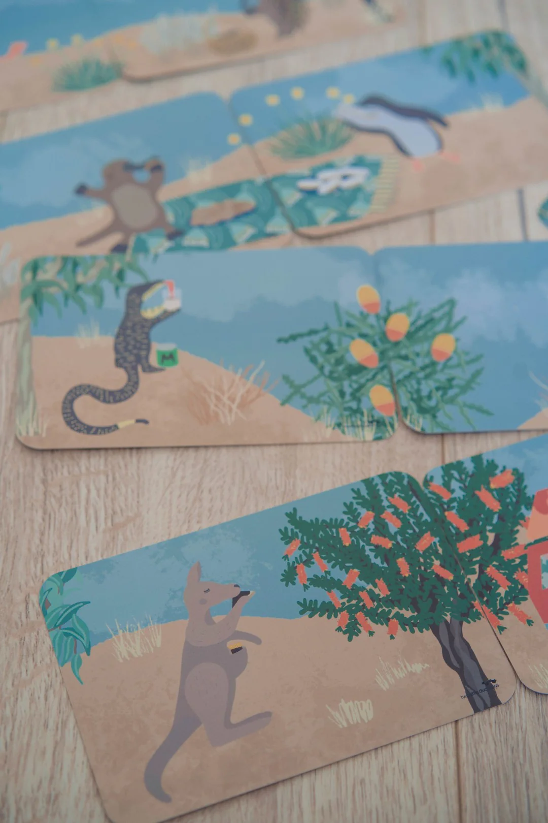 Snap and Memory Game - An Aussie Picnic - Image 4