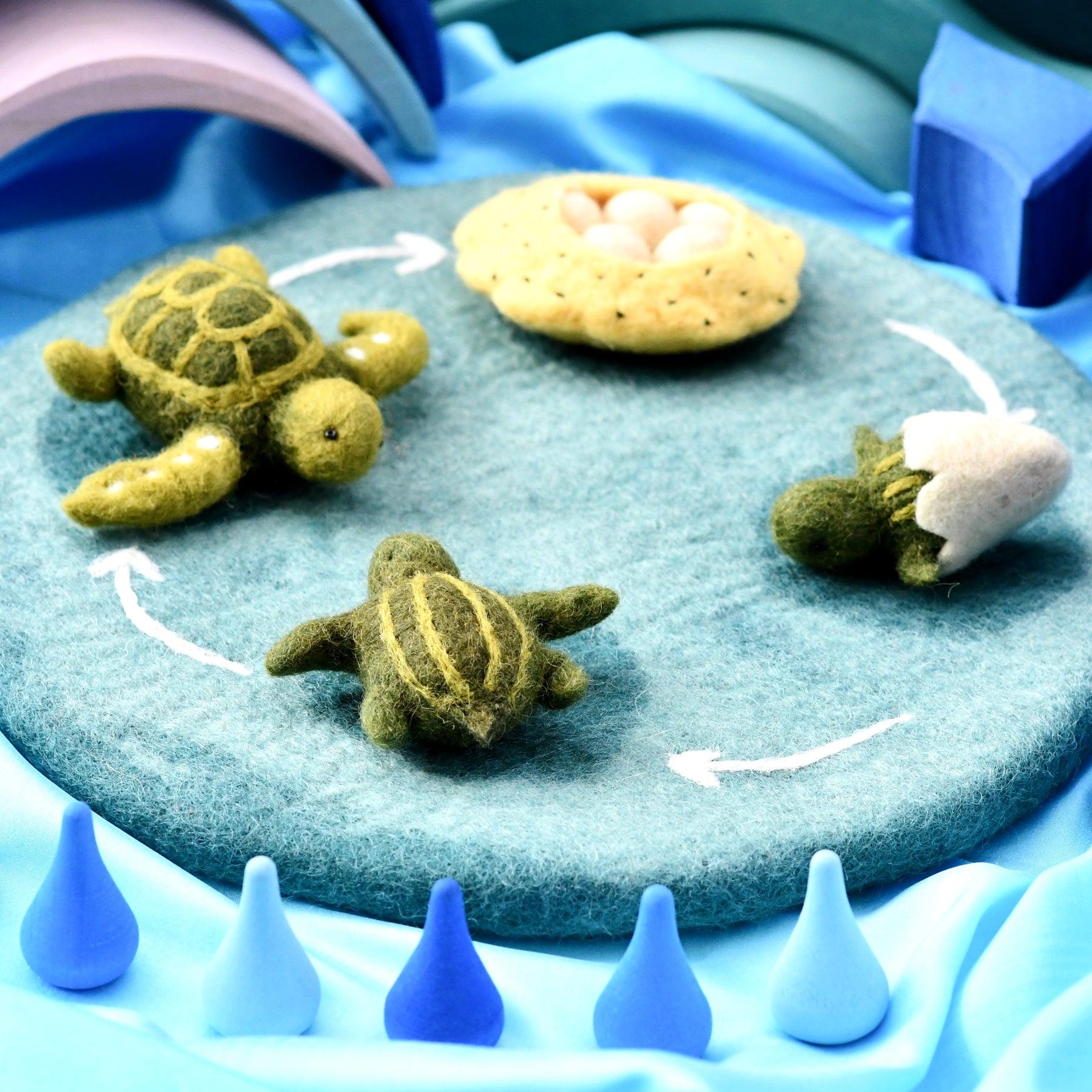 Felt Lifecycle of Green Sea Turtle - Image 2