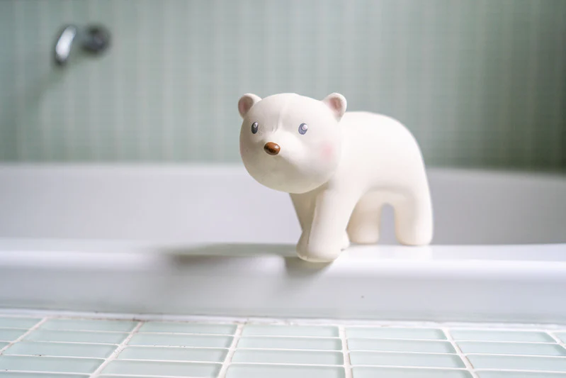 My First Arctic Animal - Polar Bear - Image 2