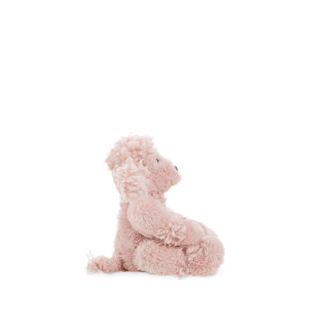 Rose de Paris - Small - Image 3